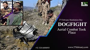 Dogfight